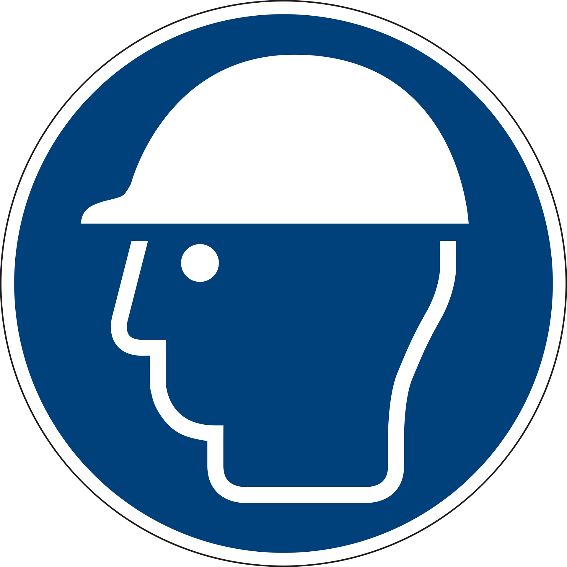 Wear head protection. ISO 7010 [M014]