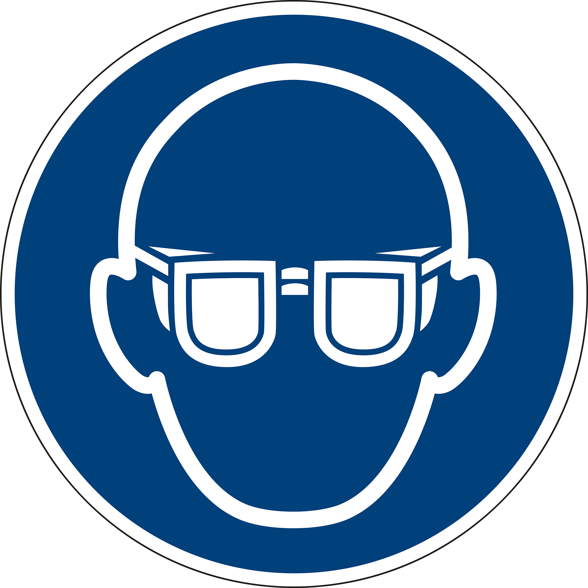 Wear eye protection. ISO 7010 [M004]