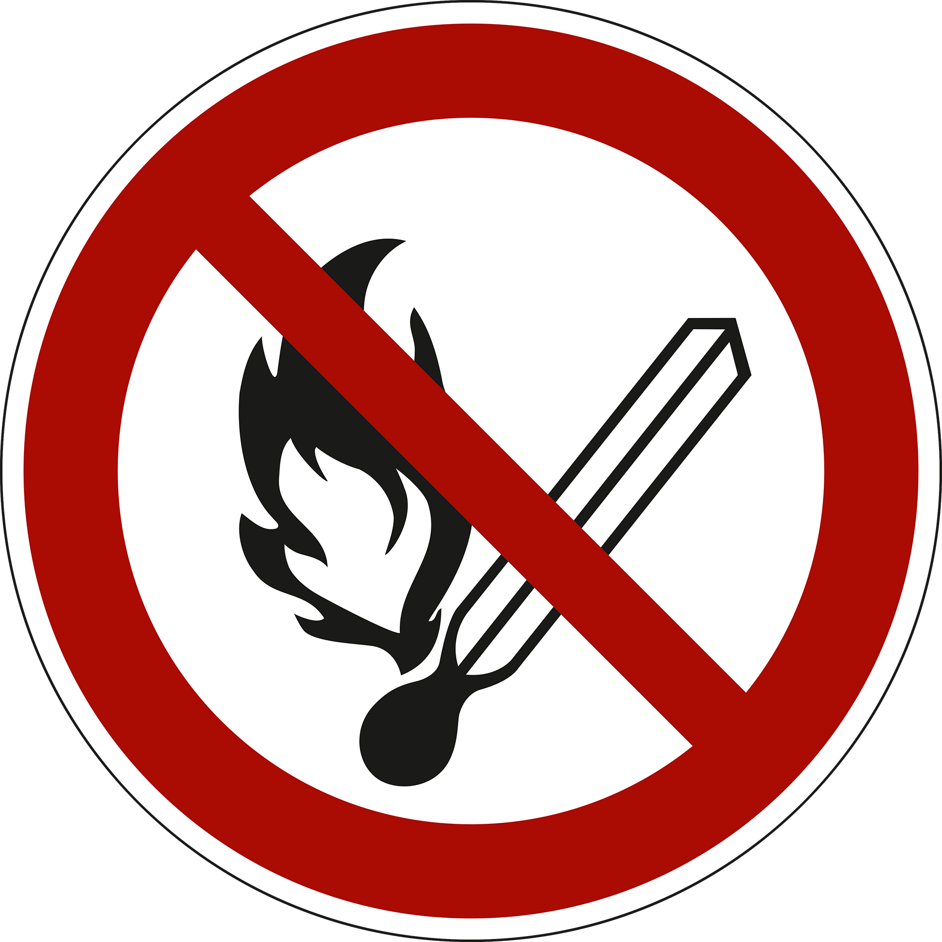 No open flame. fire. open ignition source and smoking prohibited. ISO 7010 [P003]